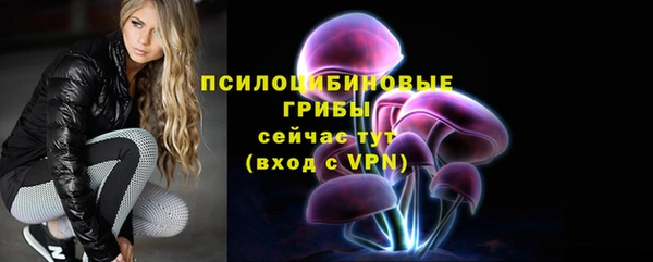 соль курить ск Краснослободск