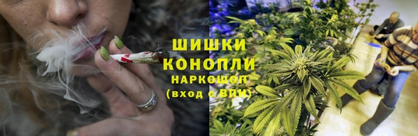винт Костерёво