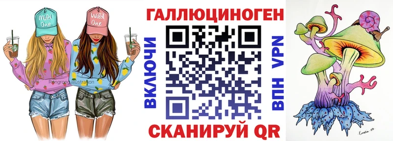 Купить  Вилючинск  Галлюциногенные грибы MAGIC MUSHROOMS 
